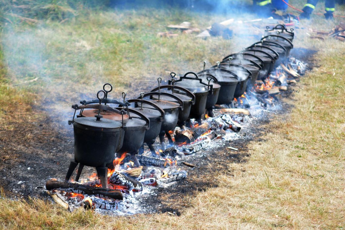 XIV Chorońskie Prażuchy i XI Święto miodu