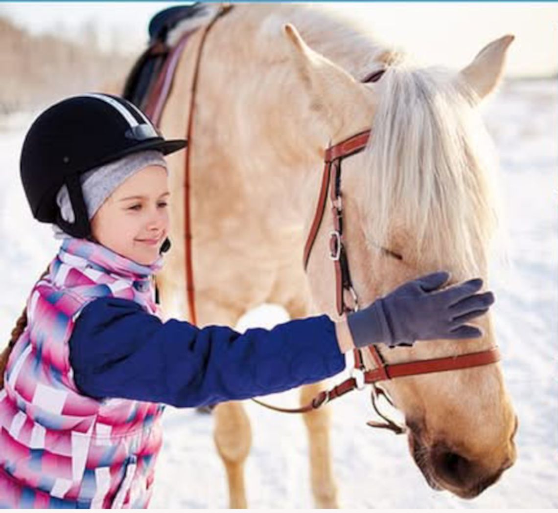 Zaplanuj kolonie, obóz już teraz! Stajnia Biały Borek zaprasza!
