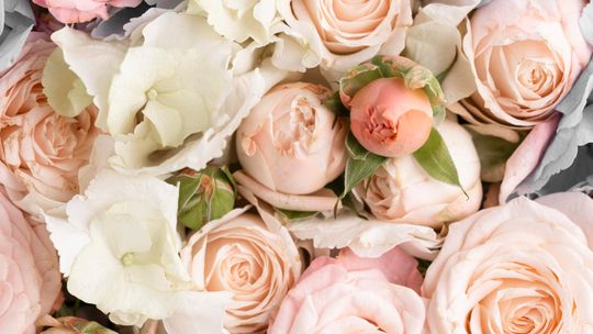 Imieniny-urodziny-pozdrowienia