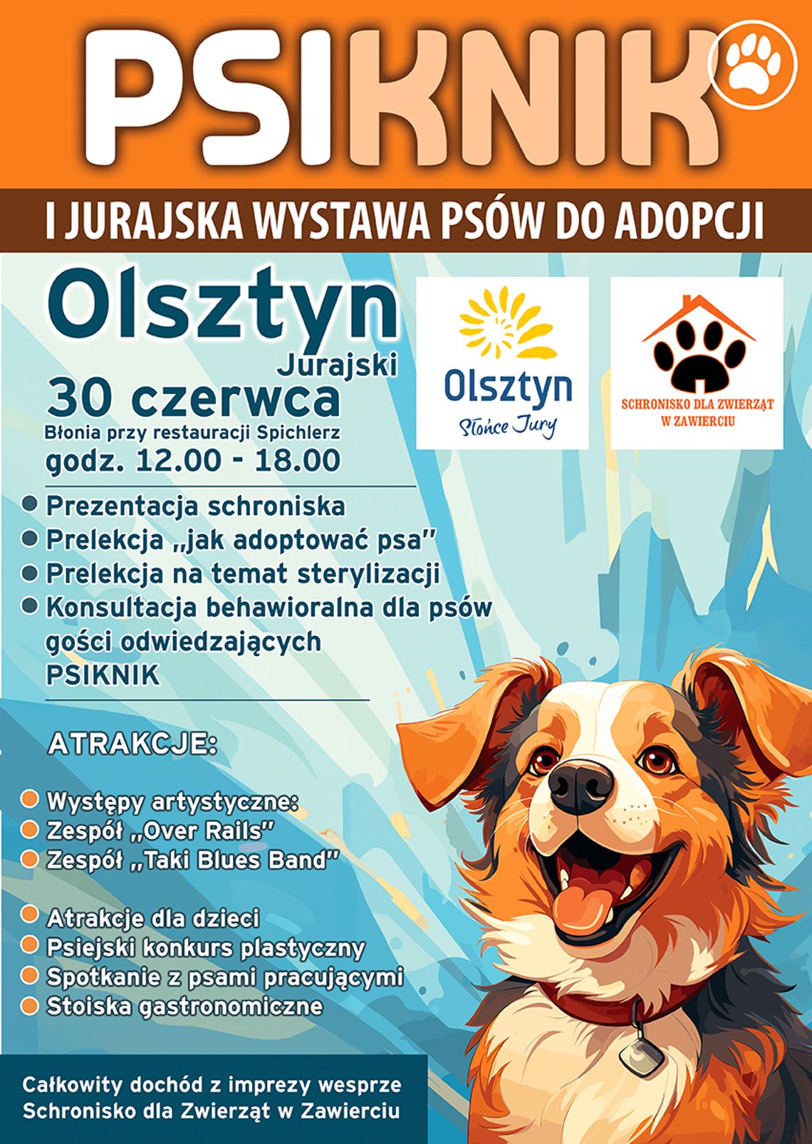 Olsztyn: I Jurajska wystawa psów do adopcji Olsztyn: I Jurajska wystawa psów do adopcji