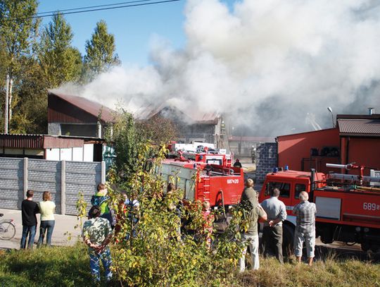 CZY WSZYSCY MAJĄ SIĘ BAĆ BRACI K.?