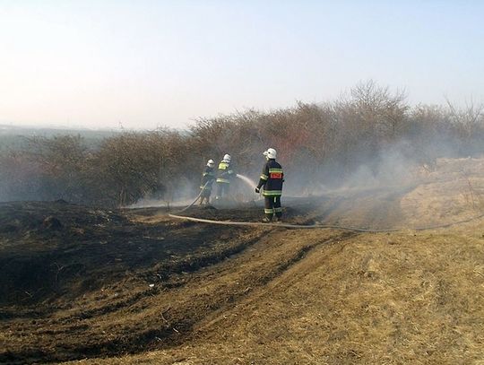 14 HEKTARÓW W OGNIU