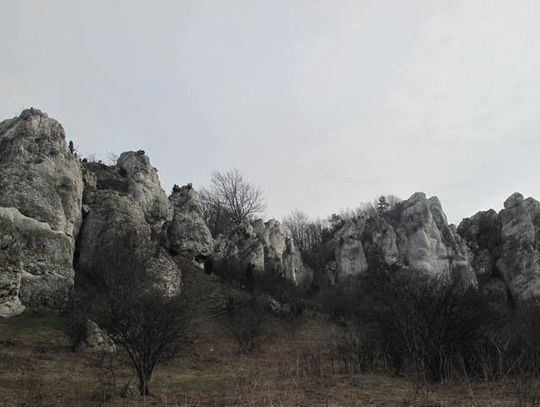 TURYSTA Z KATOWIC SPADŁ ZE SKAŁY