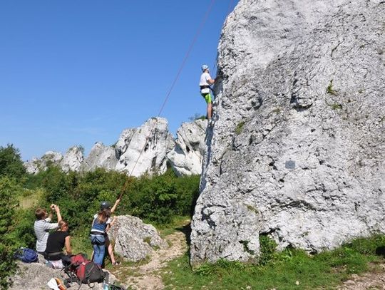 CIL PIONIEREM BADAŃ NGO