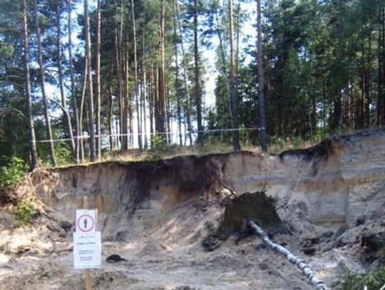 KOŚCI LUDZKIE ZNALEZIONO W ROKITNIE