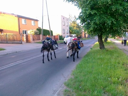 OD 15 LAT W DRODZE Z DWOMA OSŁAMI