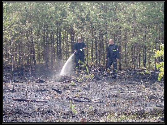 81 STRAŻAKÓW WALCZYŁO Z OGNIEM NA KRĘPIE