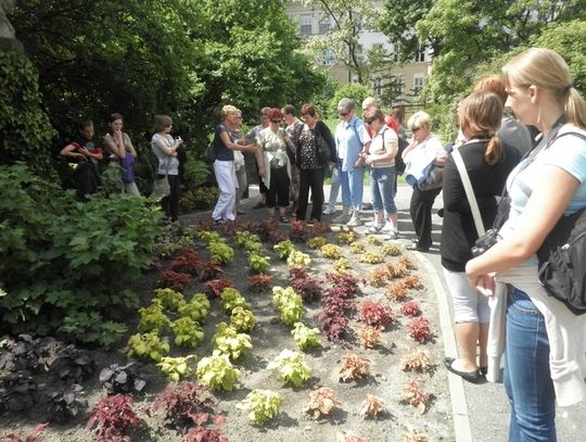 JURAJSKIE OGRODY W OŚRODKU