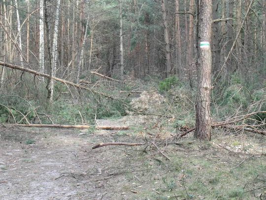 SZLAKI TURYSTYCZNE WCIĄŻ NIE DO PRZEJŚCIA