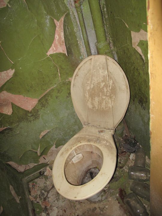 ŻYLI ZE SZCZURAMI, SZUKAJĄ POMOCY