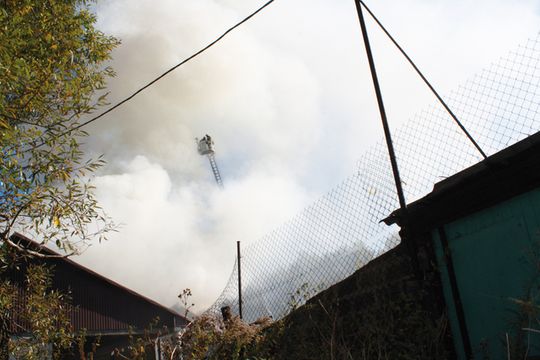 BRACIA K. W SCHRONISKU DO 21 ROKU ŻYCIA