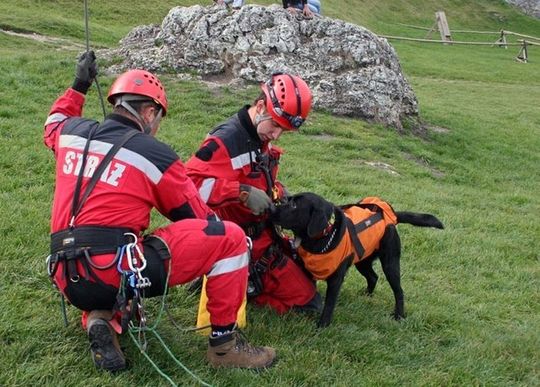 RATOWNICY ĆWICZYLI W OGRODZIEŃCU