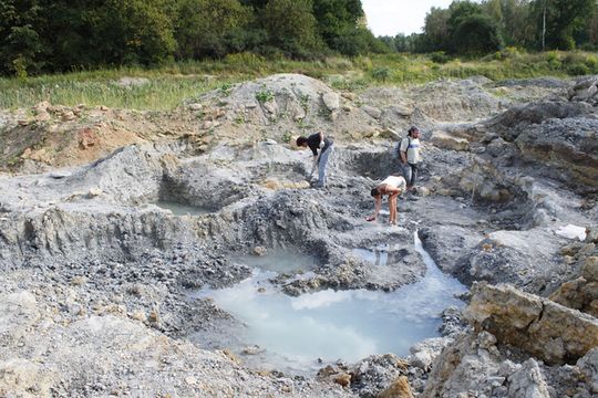 NAUKOWCY ZNALEŹLI SZCZĄTKI NAJSTARSZYCH ŻÓŁWI NA ŚWIECIE