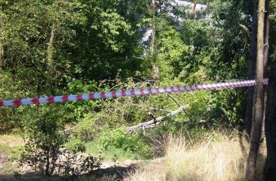 KOŚCI LUDZKIE ZNALEZIONO W ROKITNIE