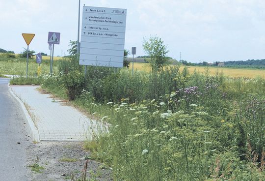 SAG ZARASTA WITAJCIE INWESTORZY!