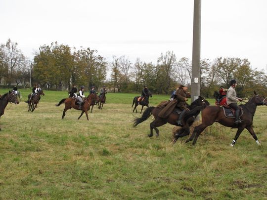 MYŚLIWI POGONILI LISA
