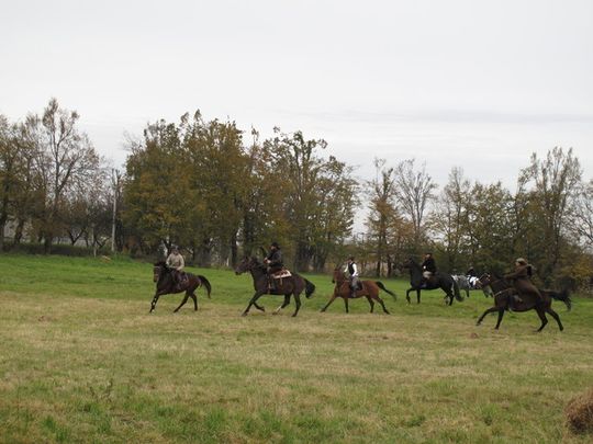 MYŚLIWI POGONILI LISA