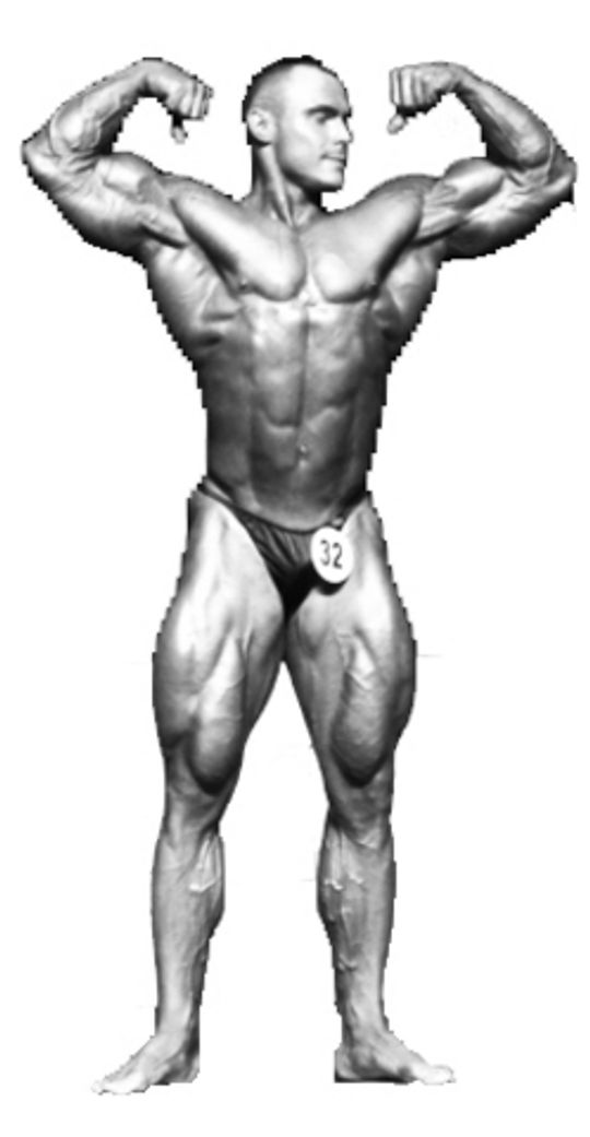 Kulturyści w Zawierciu