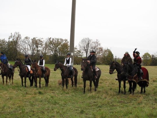 MYŚLIWI POGONILI LISA