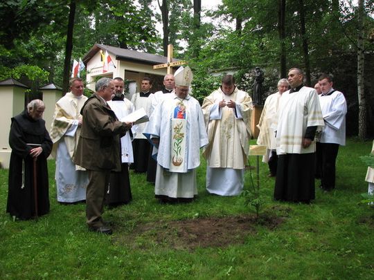 OLKUSCY LEŚNICY POSADZILI PAPIESKIE DRZEWKA