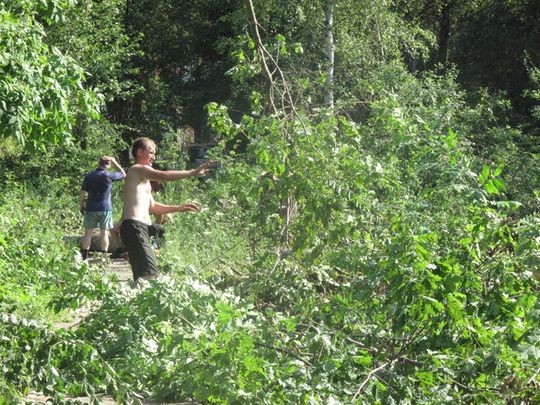 BOISKA JAK GRZYBY PO DESZCZU