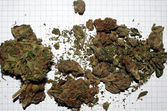 NARKOTYKI TRAFIAŁY DO DYSKOTEK?