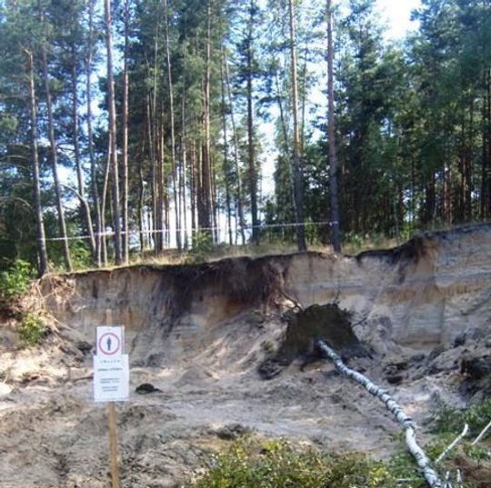 KOŚCI LUDZKIE ZNALEZIONO W ROKITNIE