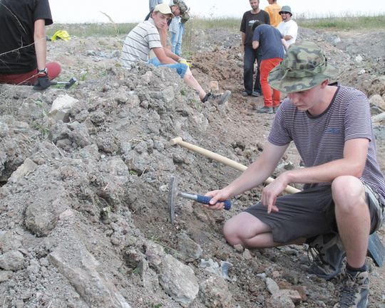 PREHISTORYCZNE STWORZENIA ŻYŁY KIEDYŚ W ZAWIERCIU