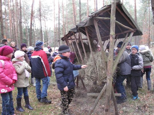 DZIECIAKI DOKARMIAJĄ ZWIERZAKI