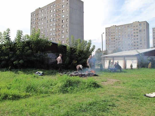 PRAŻONKI I PROFILAKTYKA