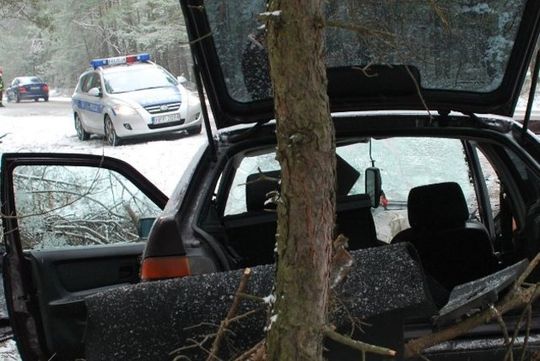 ROZBIŁ LUBLINA I UCIEKŁ DO LASU