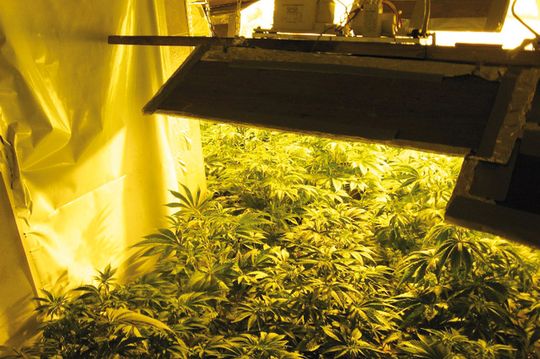 W RUDNIKACH HODOWALI „MARYŚKĘ”