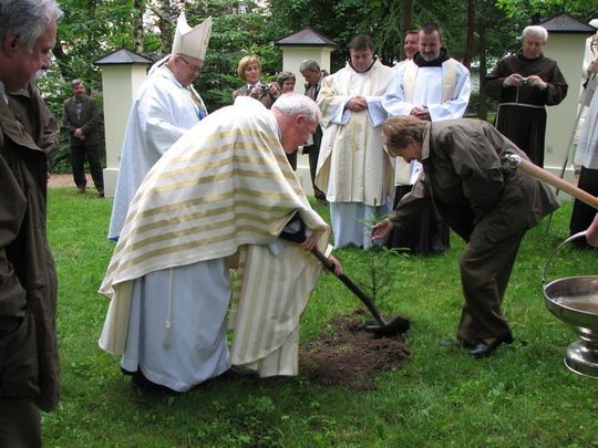 OLKUSCY LEŚNICY POSADZILI PAPIESKIE DRZEWKA
