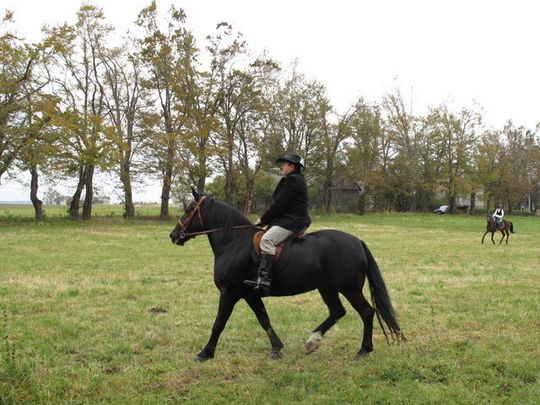 MYŚLIWI POGONILI LISA