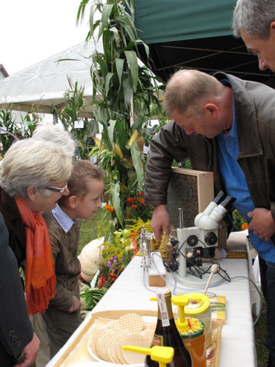 KASZANKA ZROBIŁA FURORĘ