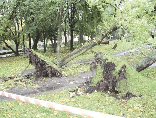 KSAWERY PRZEWRACAŁ DRZEWA I NISZCZYŁ DACHY