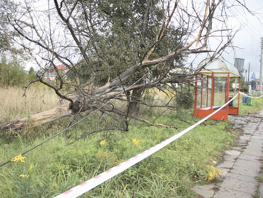 KSAWERY PRZEWRACAŁ DRZEWA I NISZCZYŁ DACHY