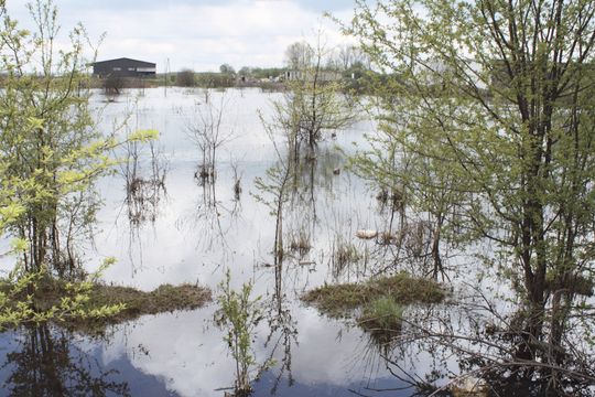 MIASTO SPRZEDA BAJORO I PO PROBLEMIE?