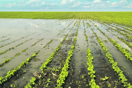 DOFINANSOWANIE NA ZABEZPIECZENIE PRZED ASF I POWODZIĄ