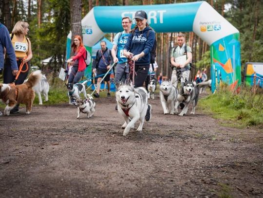 Z poprzednich edycji Jurajskiego Dogtrekkingu