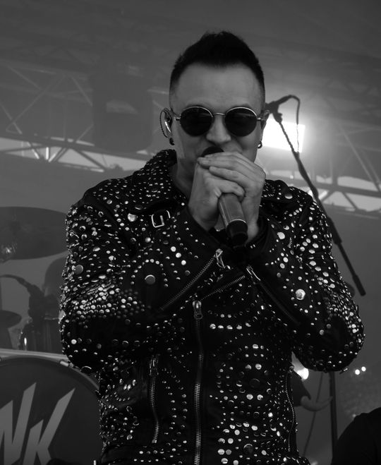 Święto Gminy Ogrodzieniec 2025