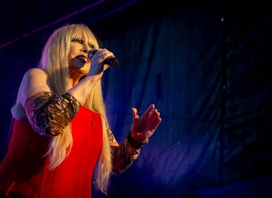 Święto Gminy Ogrodzieniec 2025