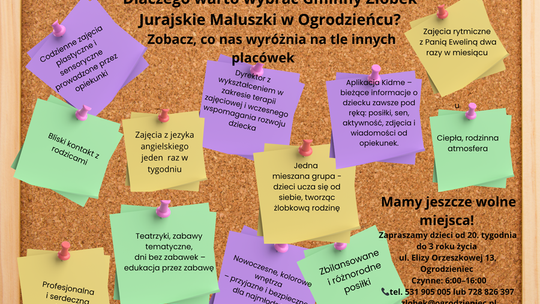 Żłobek czy babciowe?