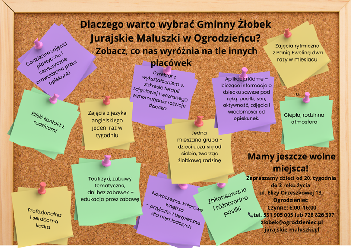 Żłobek czy babciowe?